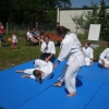 Trening Aikido w Anshin Dojo ��d�