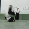 Trening Aikido w Anshin Dojo ��d�