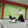 Trening Aikido w Anshin Dojo ��d�