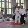 Trening Aikido w Anshin Dojo ��d�