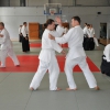 Trening Aikido w Anshin Dojo ��d�