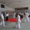 Trening Aikido w Anshin Dojo ��d�
