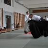 Trening Aikido w Anshin Dojo ��d�