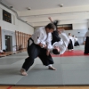 Trening Aikido w Anshin Dojo ��d�