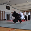 Trening Aikido w Anshin Dojo ��d�