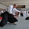 Trening Aikido w Anshin Dojo ��d�