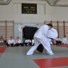 Trening Aikido w Anshin Dojo ��d�