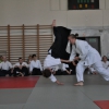 Trening Aikido w Anshin Dojo ��d�