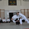 Trening Aikido w Anshin Dojo ��d�