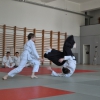 Trening Aikido w Anshin Dojo ��d�