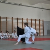 Trening Aikido w Anshin Dojo ��d�