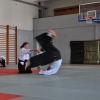 Trening Aikido w Anshin Dojo ��d�