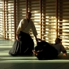 Trening Aikido w Anshin Dojo ��d�