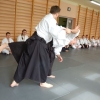 Trening Aikido w Anshin Dojo ��d�