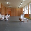 Trening Aikido w Anshin Dojo ��d�