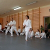 Trening Aikido w Anshin Dojo ��d�