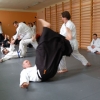 Trening Aikido w Anshin Dojo ��d�