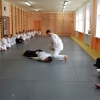 Trening Aikido w Anshin Dojo ��d�