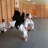 Trening Aikido w Anshin Dojo ��d�