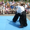 Trening Aikido w Anshin Dojo ��d�