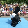 Trening Aikido w Anshin Dojo ��d�
