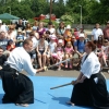 Trening Aikido w Anshin Dojo ��d�