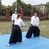Trening Aikido w Anshin Dojo ��d�