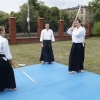 Trening Aikido w Anshin Dojo ��d�