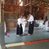 Trening Aikido w Anshin Dojo ��d�