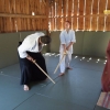Trening Aikido w Anshin Dojo ��d�