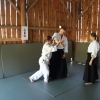 Trening Aikido w Anshin Dojo ��d�