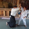 Trening Aikido w Anshin Dojo ��d�