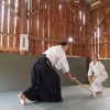Trening Aikido w Anshin Dojo ��d�