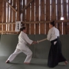 Trening Aikido w Anshin Dojo ��d�