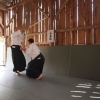 Trening Aikido w Anshin Dojo ��d�