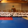 Trening Aikido w Anshin Dojo ��d�
