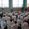 Trening Aikido w Anshin Dojo ��d�