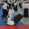 Trening Aikido w Anshin Dojo ��d�