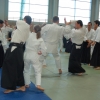 Trening Aikido w Anshin Dojo ��d�