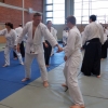 Trening Aikido w Anshin Dojo ��d�