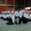 Trening Aikido w Anshin Dojo ��d�