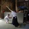 Trening Aikido w Anshin Dojo ��d�