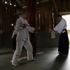 Trening Aikido w Anshin Dojo ��d�