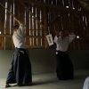 Trening Aikido w Anshin Dojo ��d�