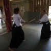 Trening Aikido w Anshin Dojo ��d�