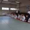 Trening Aikido w Anshin Dojo ��d�