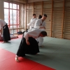 Trening Aikido w Anshin Dojo ��d�