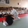 Trening Aikido w Anshin Dojo ��d�