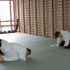 Trening Aikido w Anshin Dojo ��d�