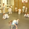Trening Aikido w Anshin Dojo ��d�